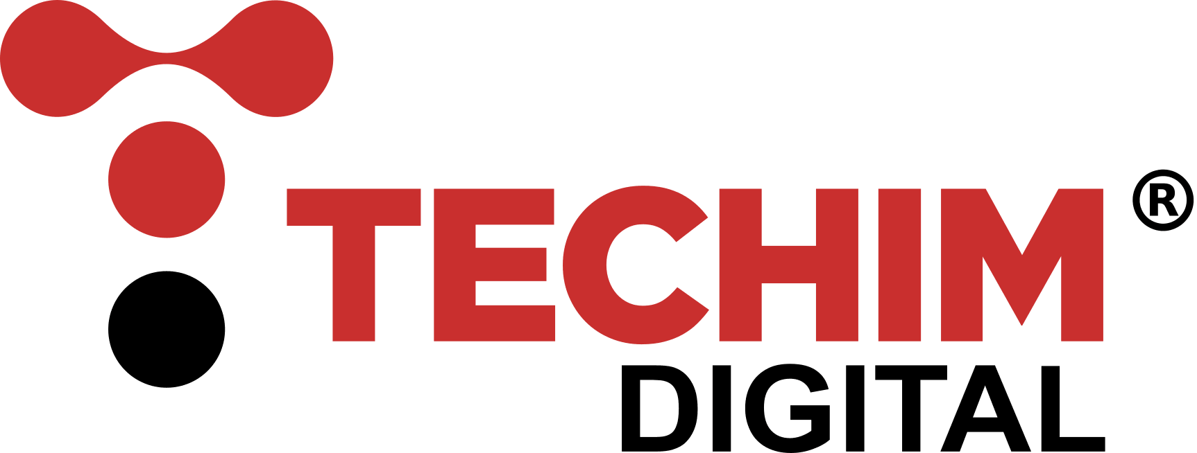 logo techim digital registrato